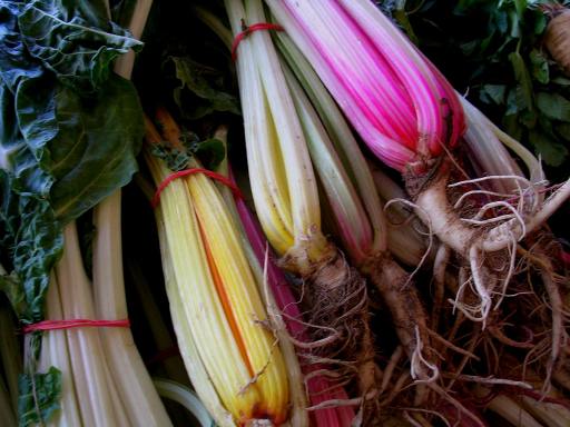 chard color